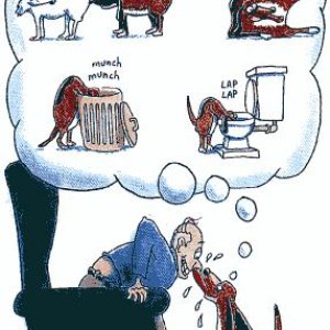 What Dog Thinks
