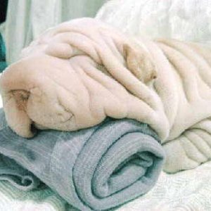Where Is The Towel