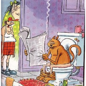Toilet Trained Cat