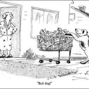 Smarty Dog
