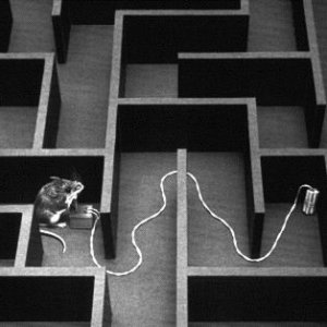 Smart Mouse