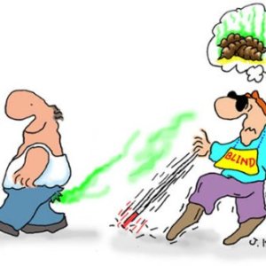 Sent Of Smell