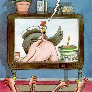 Turkey Dinner