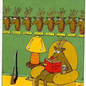 Reindeer Revenge