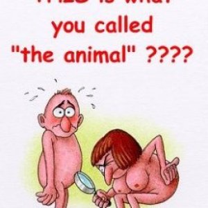 This Is What You Call The Animal