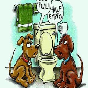 When Dogs Have Philosophical Debates