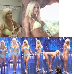 Torrie Wilson    016