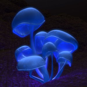 Magic Mushroom   3d Adobe Photoshop Cs