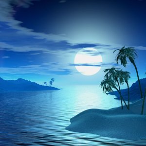 Tropic Night