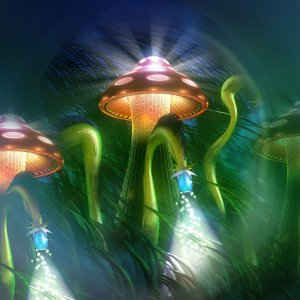 Mushroom Kingdom