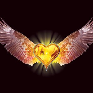 Eagle Heart