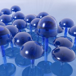 Mushroom Subject