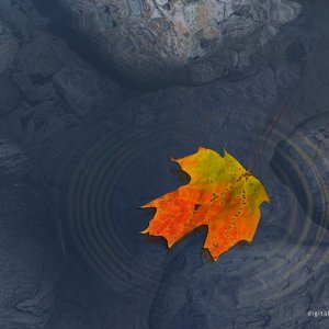 3d Art 73