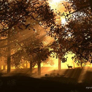 3d Art 71