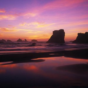 Nature Pic  2390