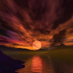 Nature Pic  2391
