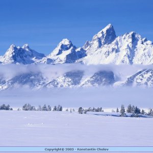 Nature Pic  42