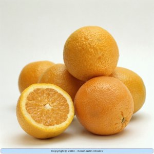 Nature Pic  59