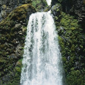 Nature Pic  35