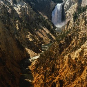 Nature Pic  127