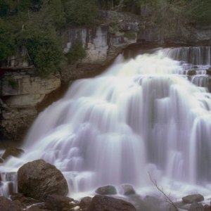 Nature Pic  4