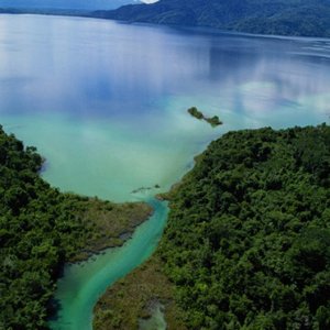 Nature Pic  115
