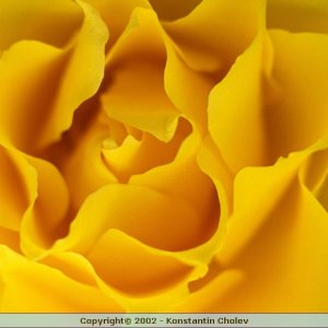 Nature Pic  133
