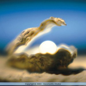 Nature Pic  172