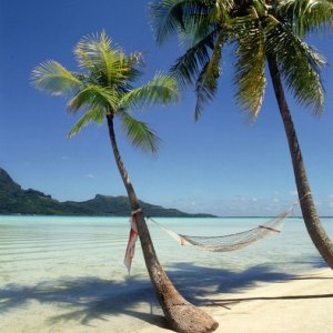 Nature Pic  114