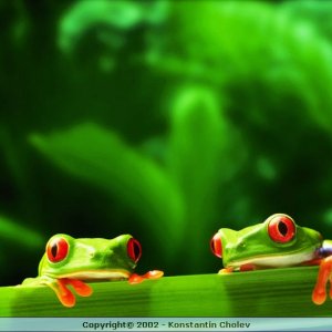 Nature Pic  134