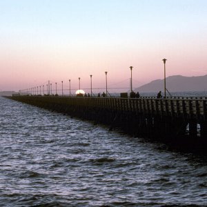 Nature Pic  167