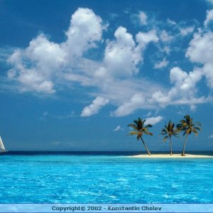 Nature Pic  108