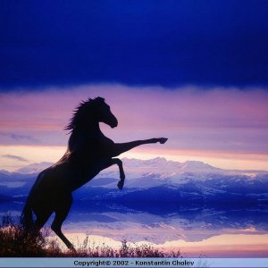 Nature Pic  142