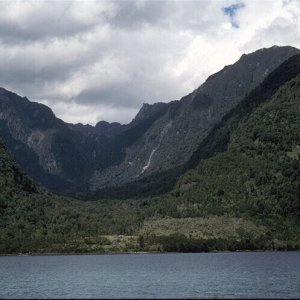 Nature Pic  169