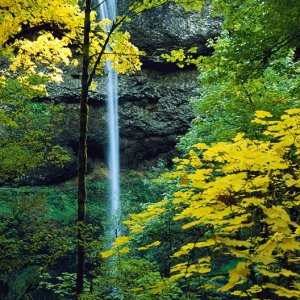 Nature Pic  34