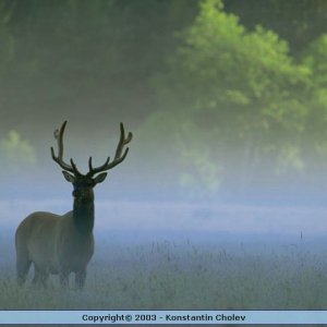 Nature Pic  97