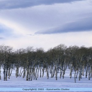 Nature Pic  43