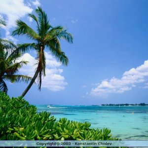 Nature Pic  149
