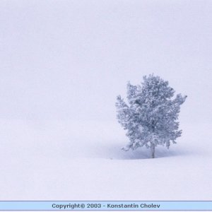 Nature Pic  44