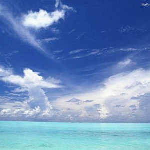 Nature Pic  8