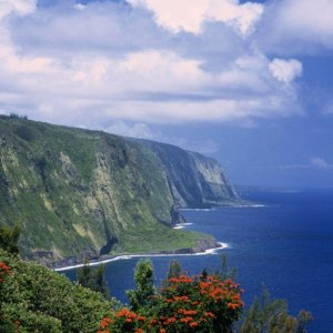 Nature Pic  116
