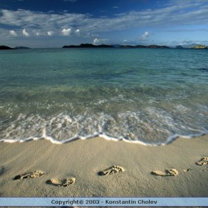 Nature Pic  75