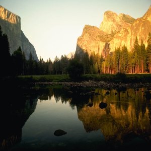 Nature Pic  5