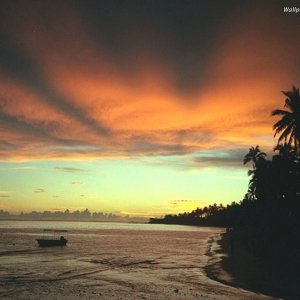 Nature Pic  26