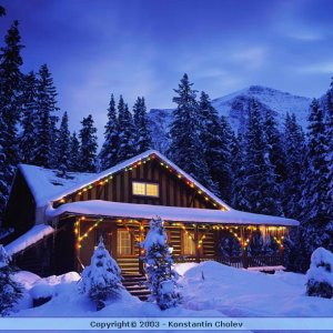 Nature Pic  93