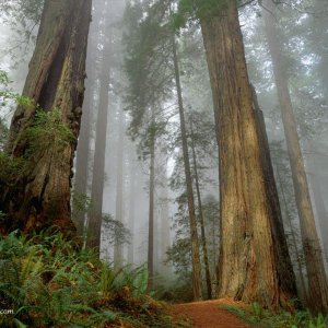 Nature Pic  9