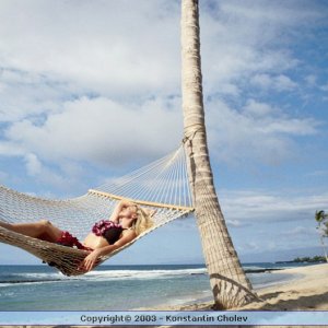 Nature Pic  73