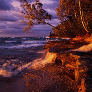 Nature Pic  120