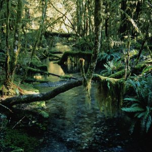 Nature Pic  31