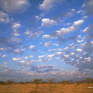 Nature Pic  11